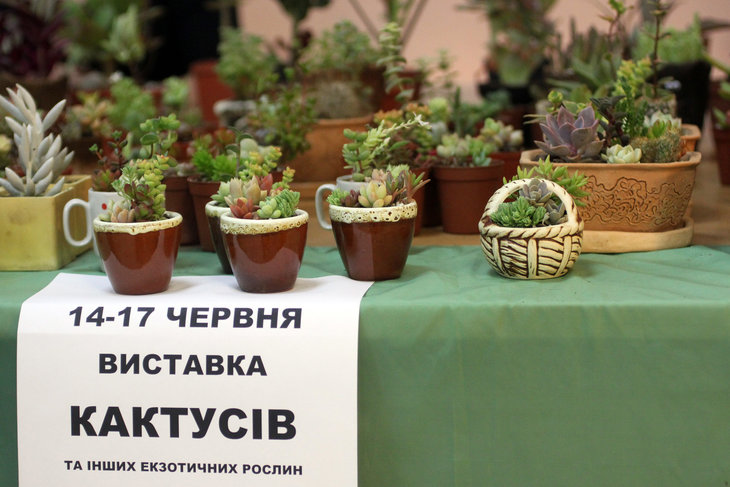 _IMG_1588.jpg