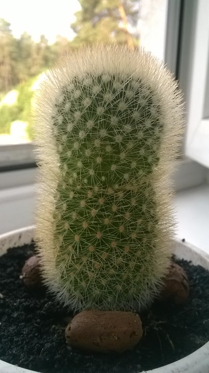 WP_20180618_003.jpg