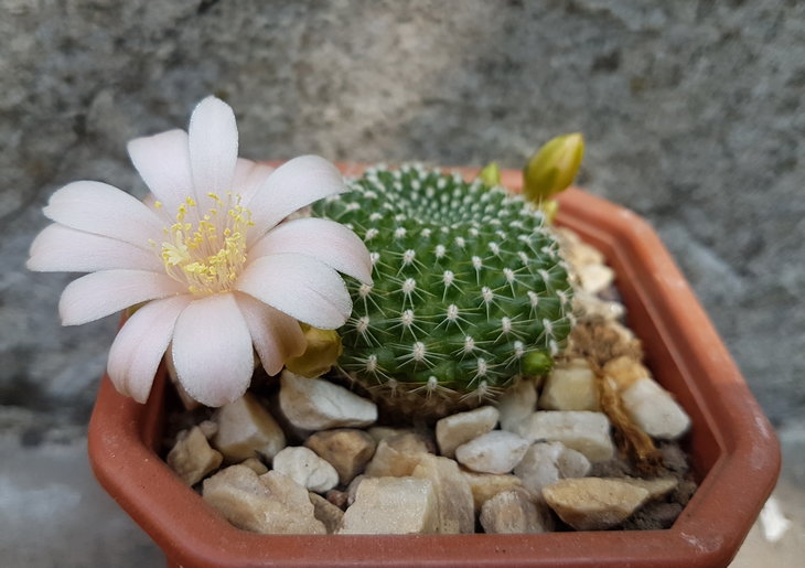 20180617_100704_1.jpg