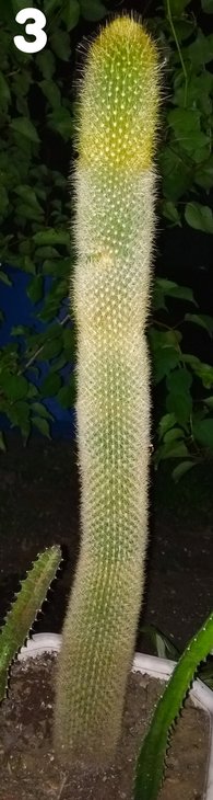 IMG_20180705_223807.jpg