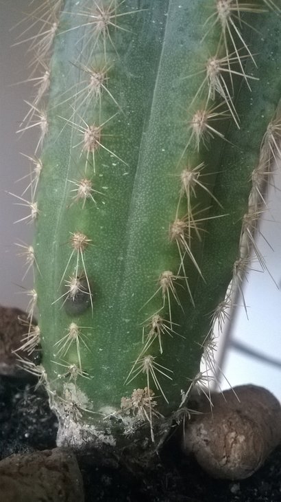 WP_20180708_005.jpg