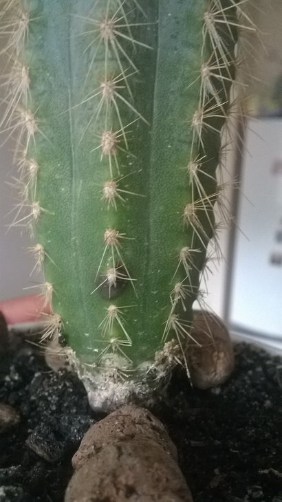 WP_20180708_003.jpg