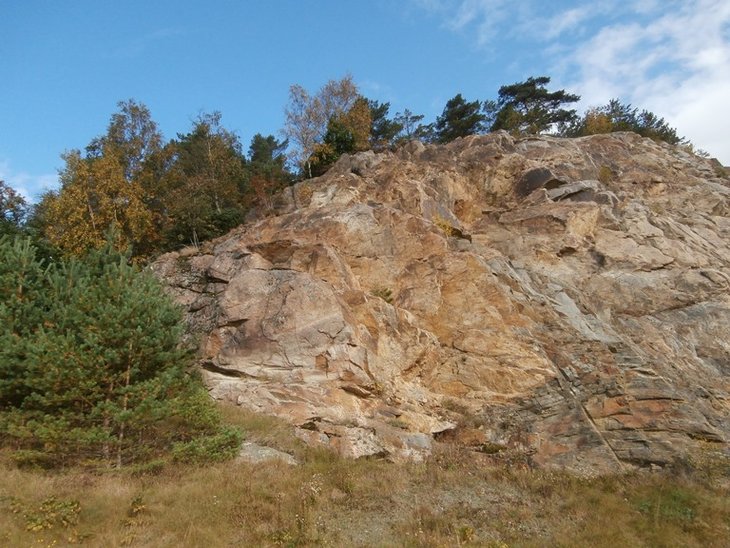56.jpg
