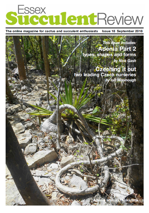 esr-sept-2018.png