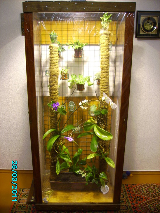 PICT0615.JPG