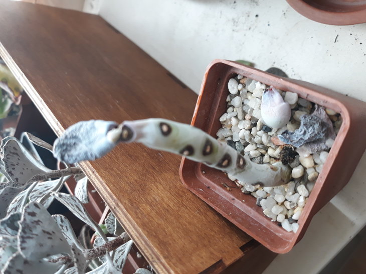 20180906_085125.jpg