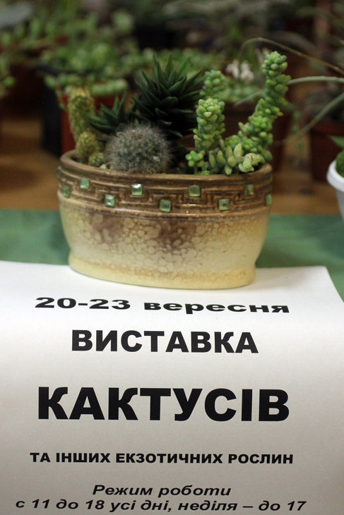 IMG_9612.jpg