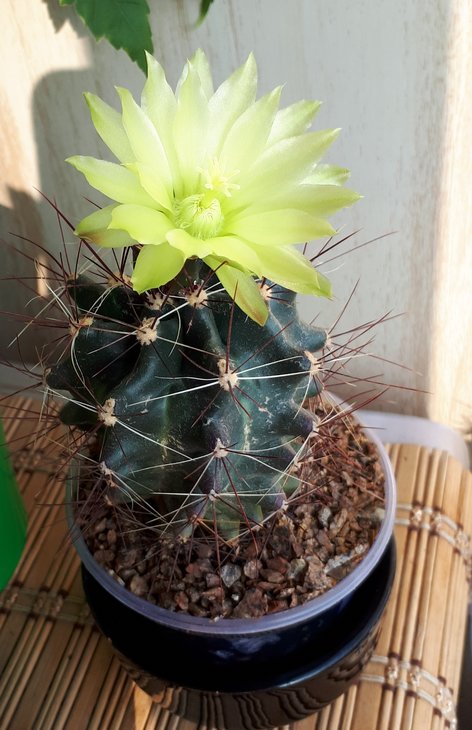 20180925_225120.jpg