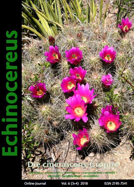 Echinocereus.png
