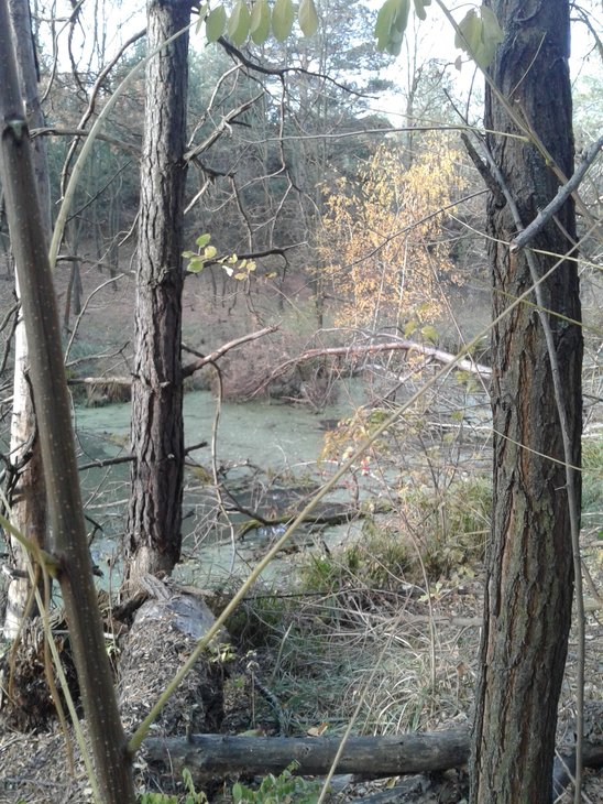 20181103_083851.jpg