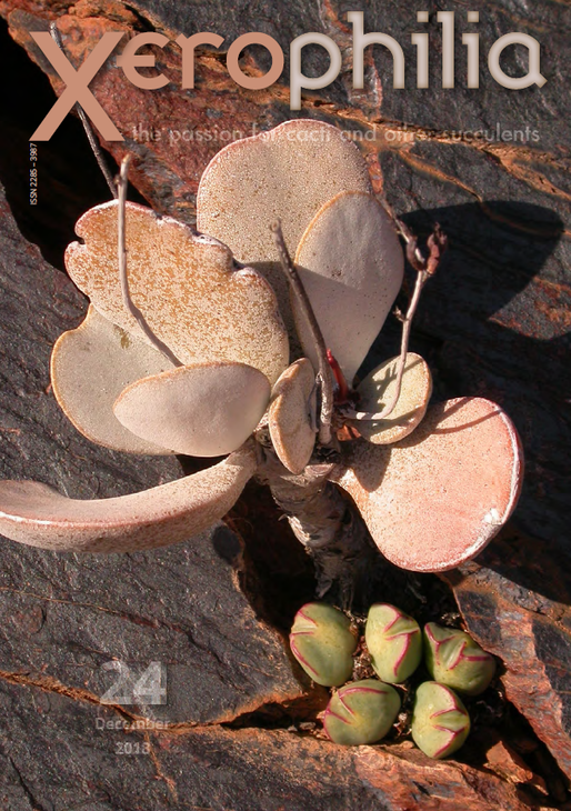 Xerophilia_24.png
