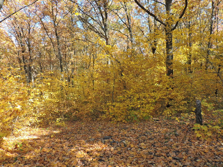 DSCN8338.jpg