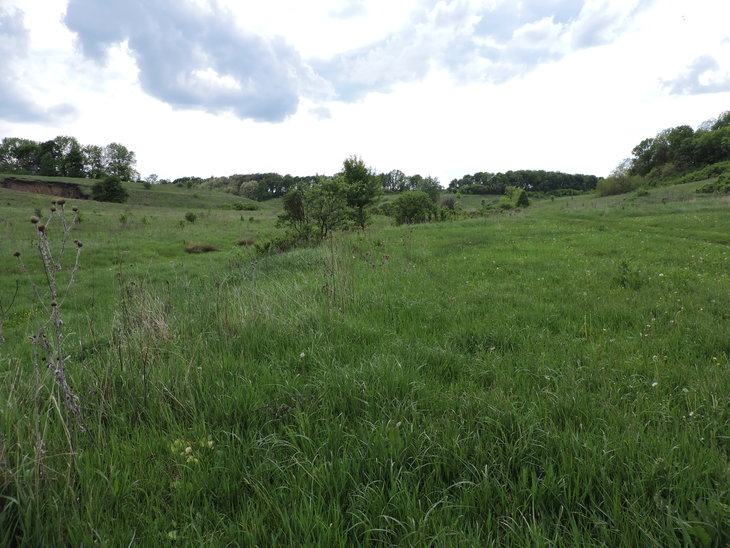 DSCN5869.jpg