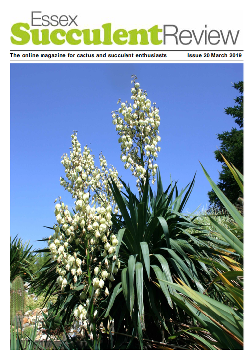 esr-march-2019.png