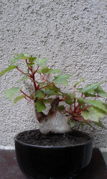 20180922_142223.jpg