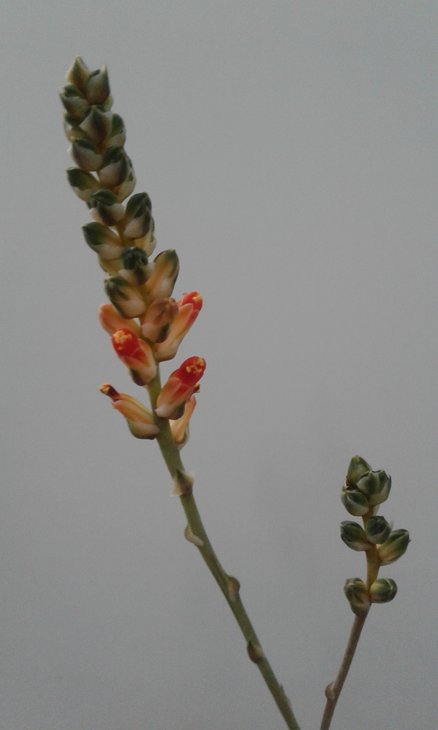 20181220_104055.jpg