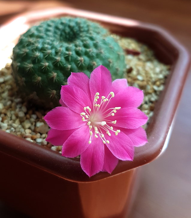 20190321_094541_1.jpg