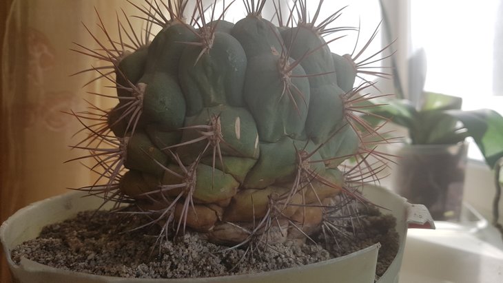 20190409_083920.jpg