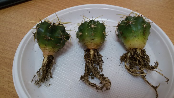 20190415_105035.jpg