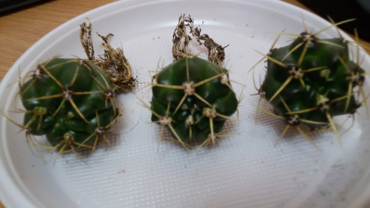 20190415_105021.jpg
