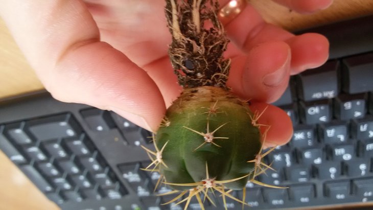 20190415_105153.jpg