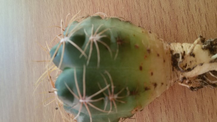 20190422_183032.jpg