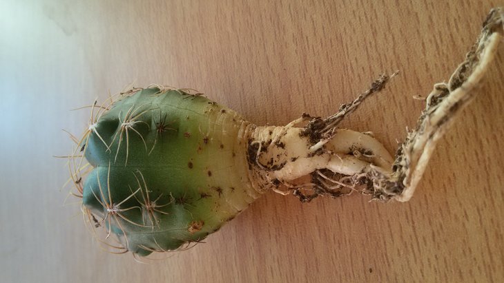 20190422_183012.jpg