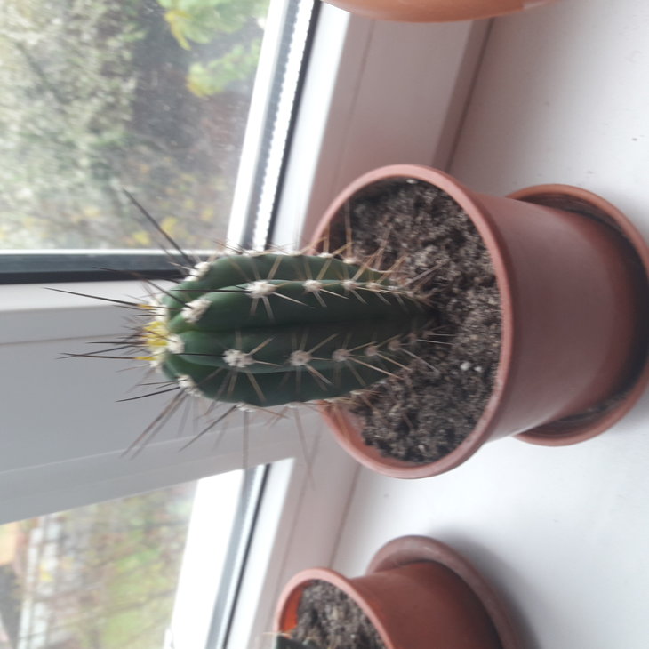 20190501_145903.jpg