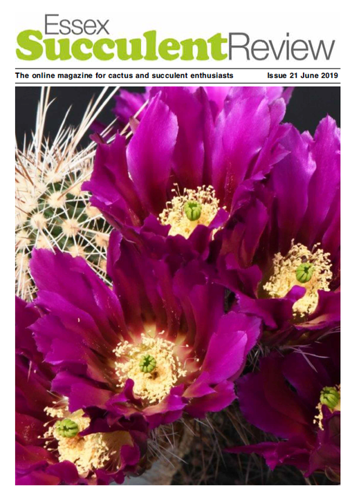 esr-june-2019.png