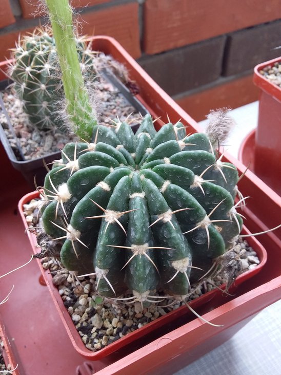 20190616_001.jpg