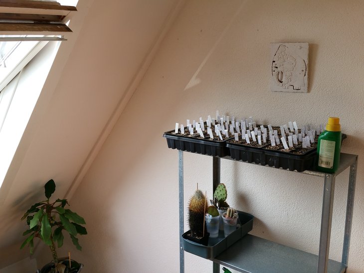 20190630_162318-min.jpg