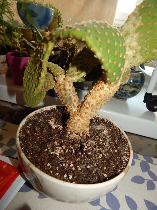 DSCN7748.JPG