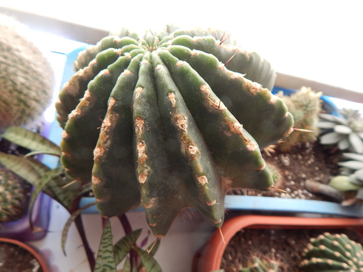 DSCN7936.JPG
