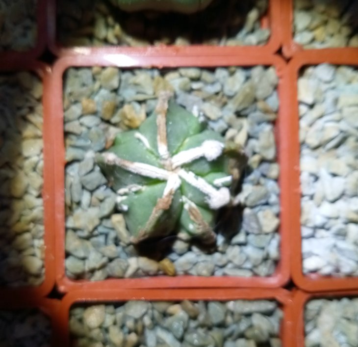 P90728-230421.jpg