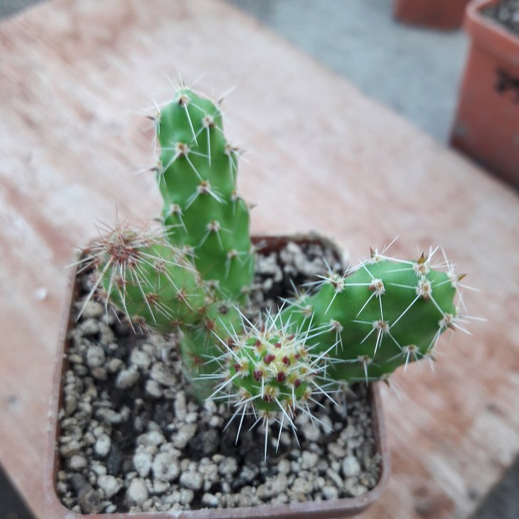 20190720_190816.jpg