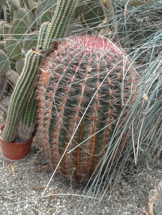 untitled-114.jpg