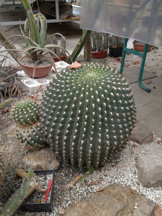 untitled-112.jpg