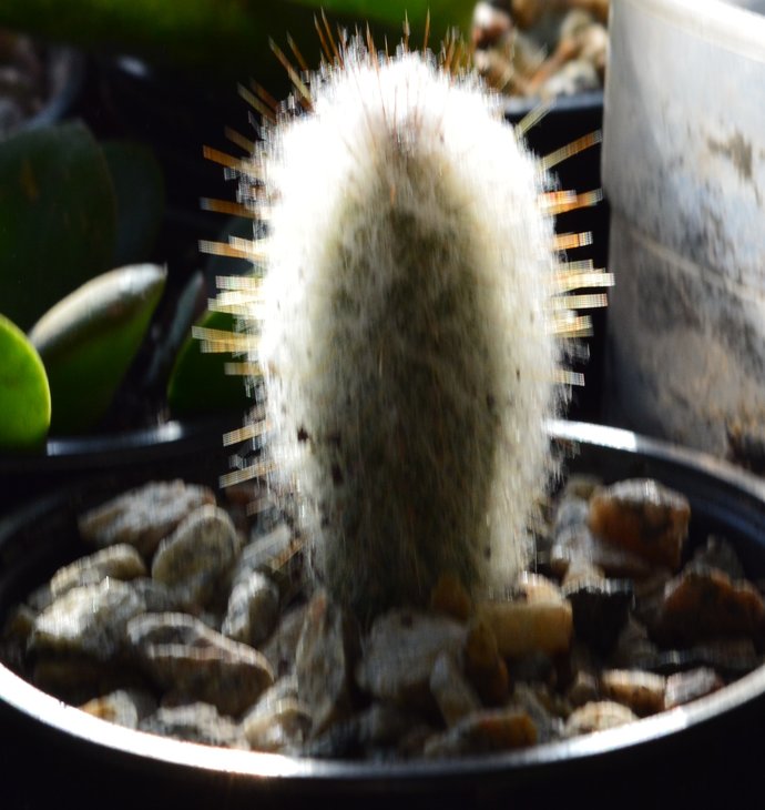 DSC_0003.JPG