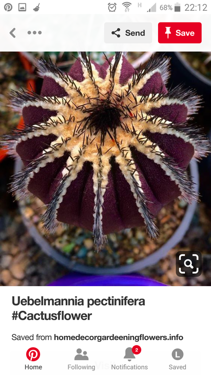 Screenshot_2019-02-10-22-12-15.png