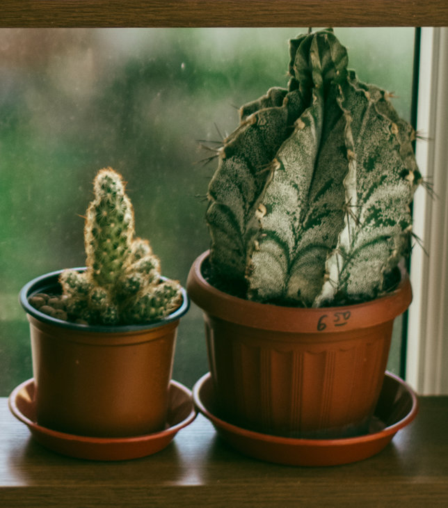 000_26399.jpg