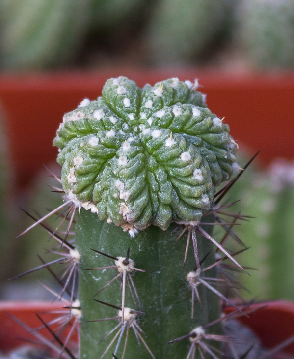 Фото_5.jpg