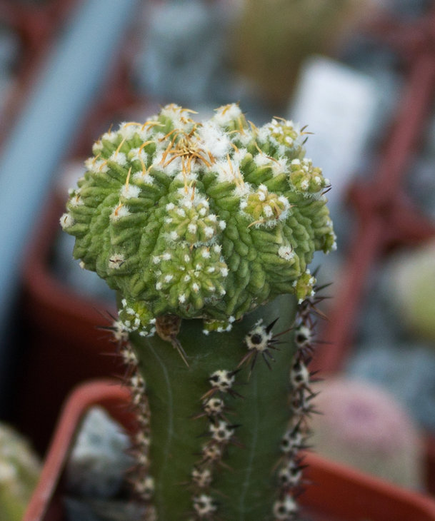Фото_3.jpg