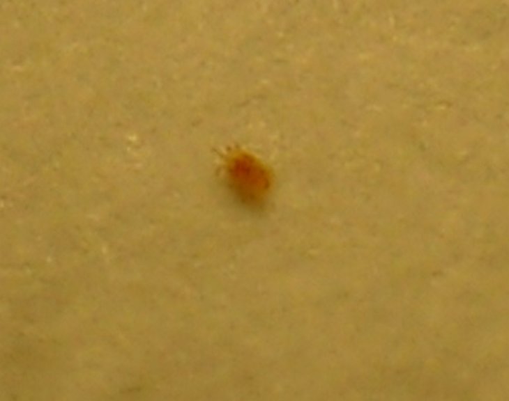 P2490396.JPG
