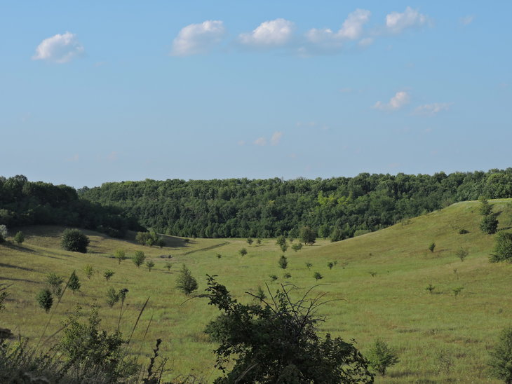 DSCN0974.jpg