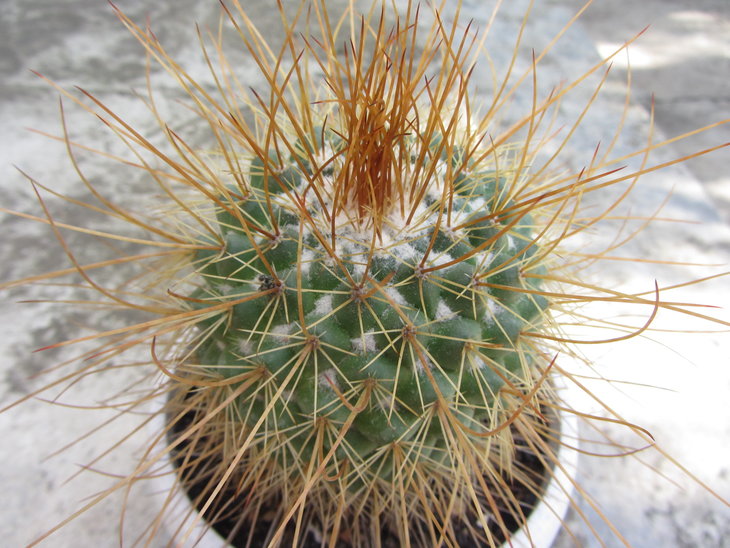 03