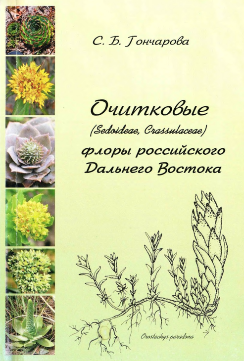 Очитковые.png