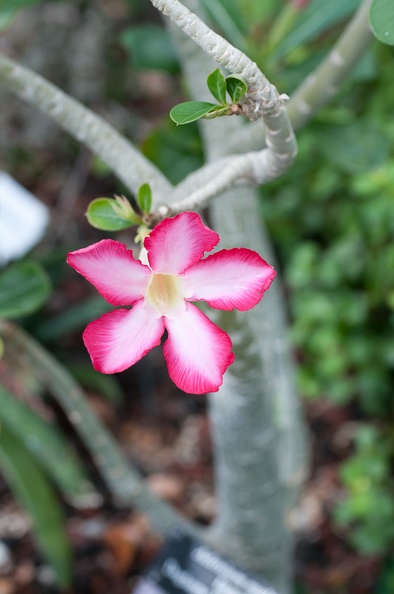 DSC_2358.jpg