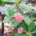 DSC_2372.jpg