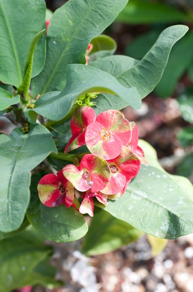 DSC_2373.jpg