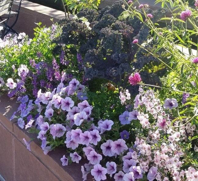 20150909_163107.jpg